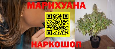гашик Трёхгорный