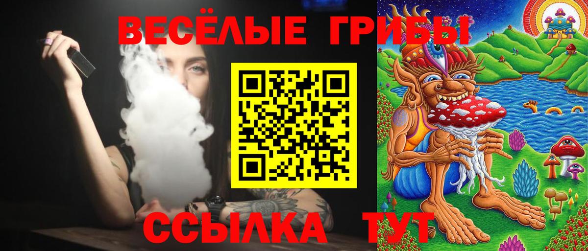 Галлюциногенные грибы мухоморы  Вход с VPN  Кашира 